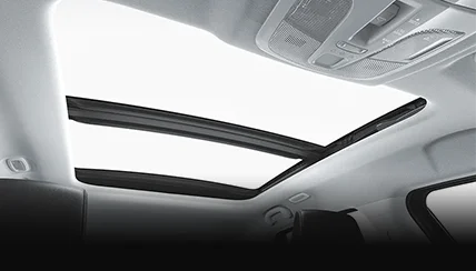 grand vitara